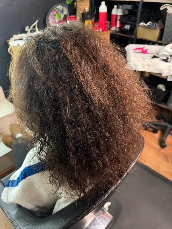 Before the smoothing: coarse curl carrying more volume than the hair can hold